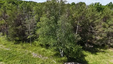 Picture of Land at Site #2 Cottage Bluff Ln, Fish Creek, WI