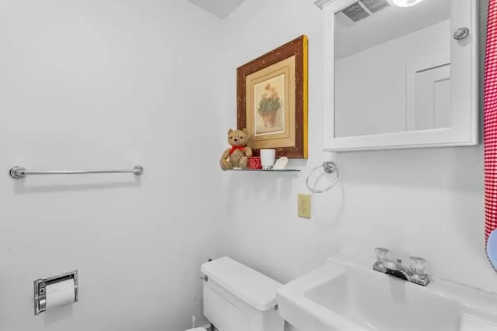 Picture 27