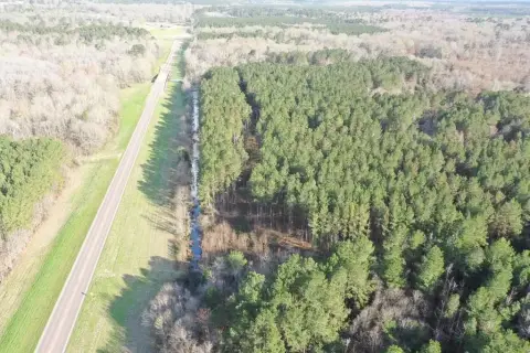Picture of Hunting land at 8284 Hwy 28, Mize, MS