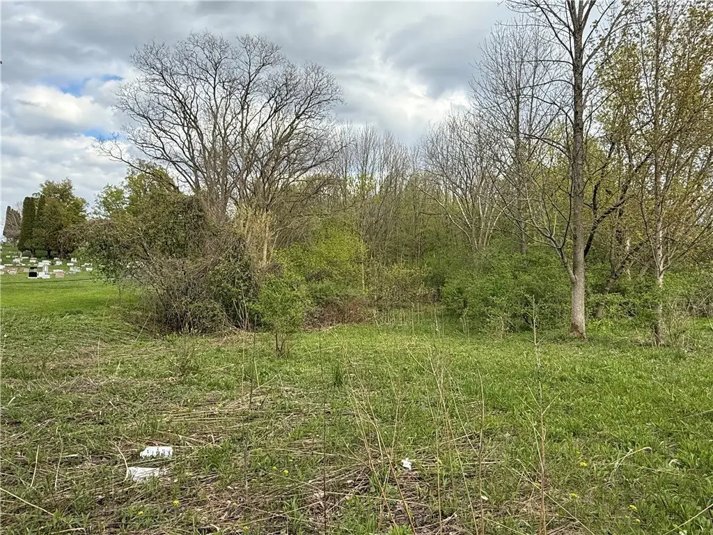 Picture 5