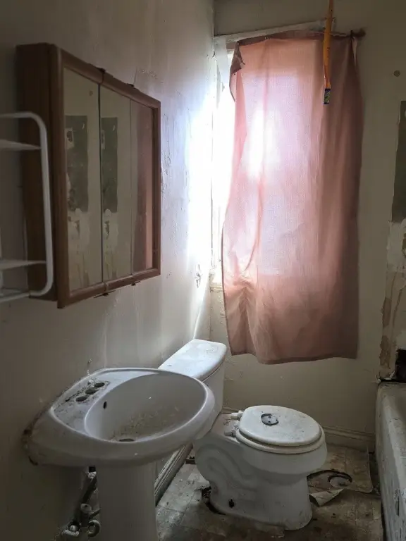 Picture 21