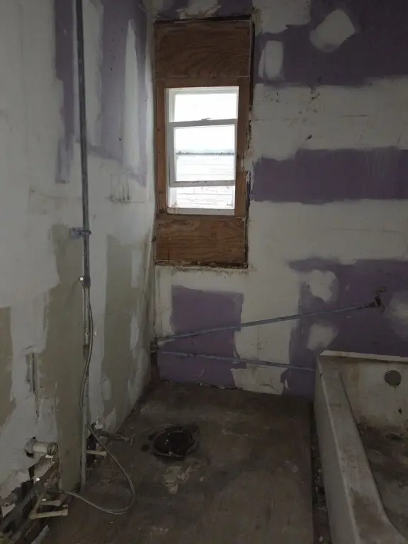 Picture 7