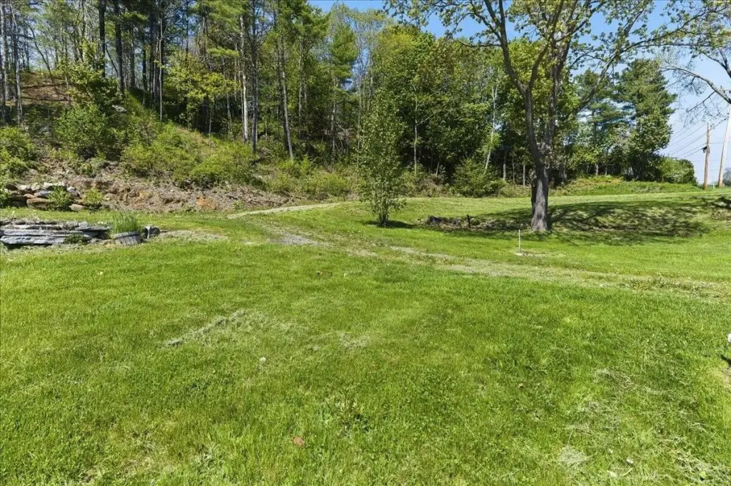 Picture 18