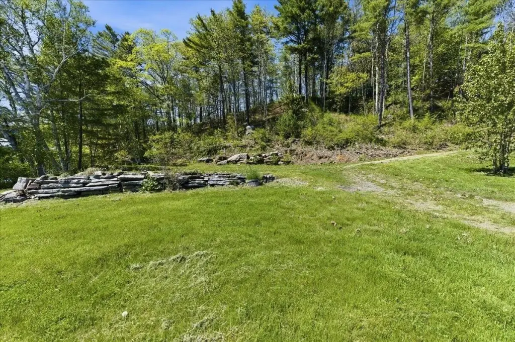 Picture 19