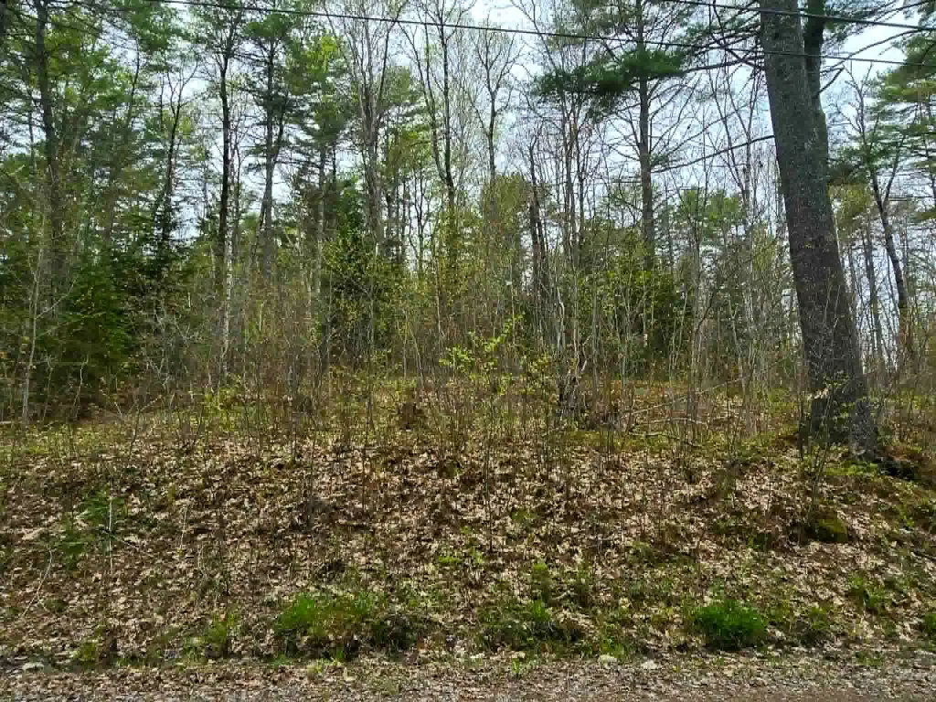 Picture 3