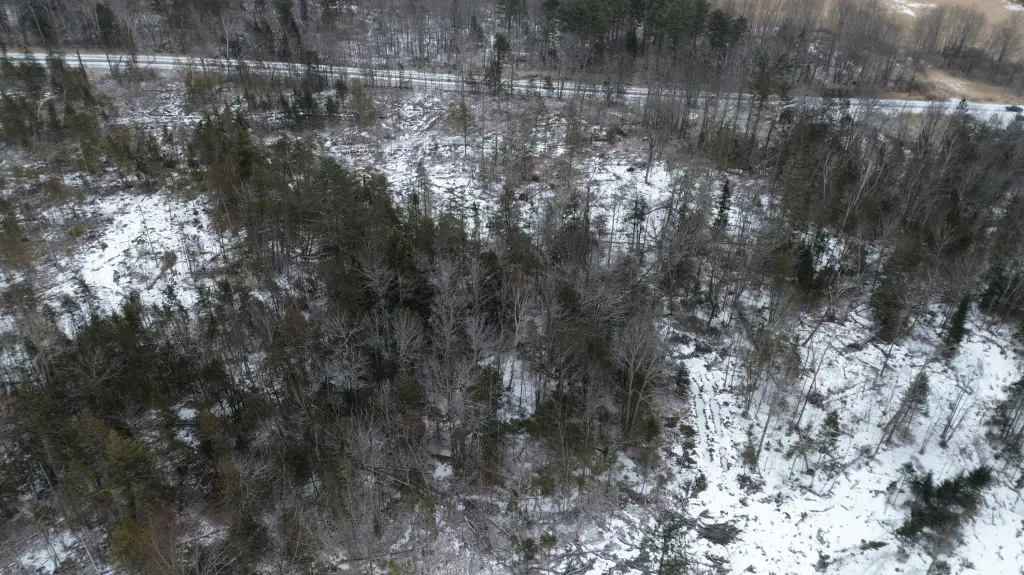 Picture 11