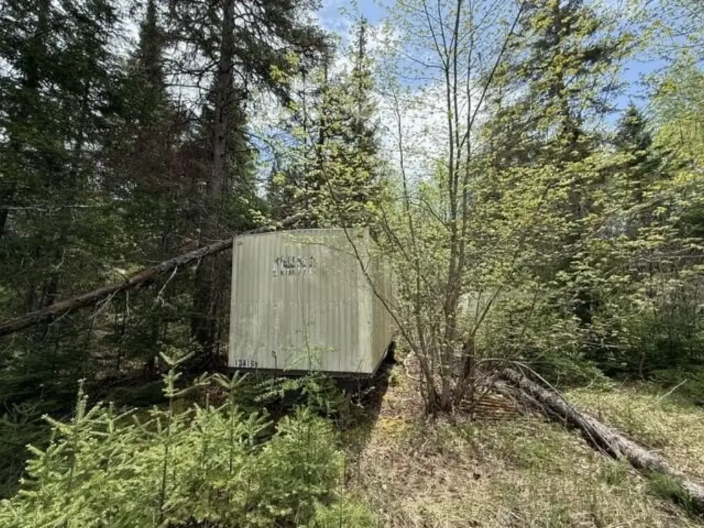 Picture 5