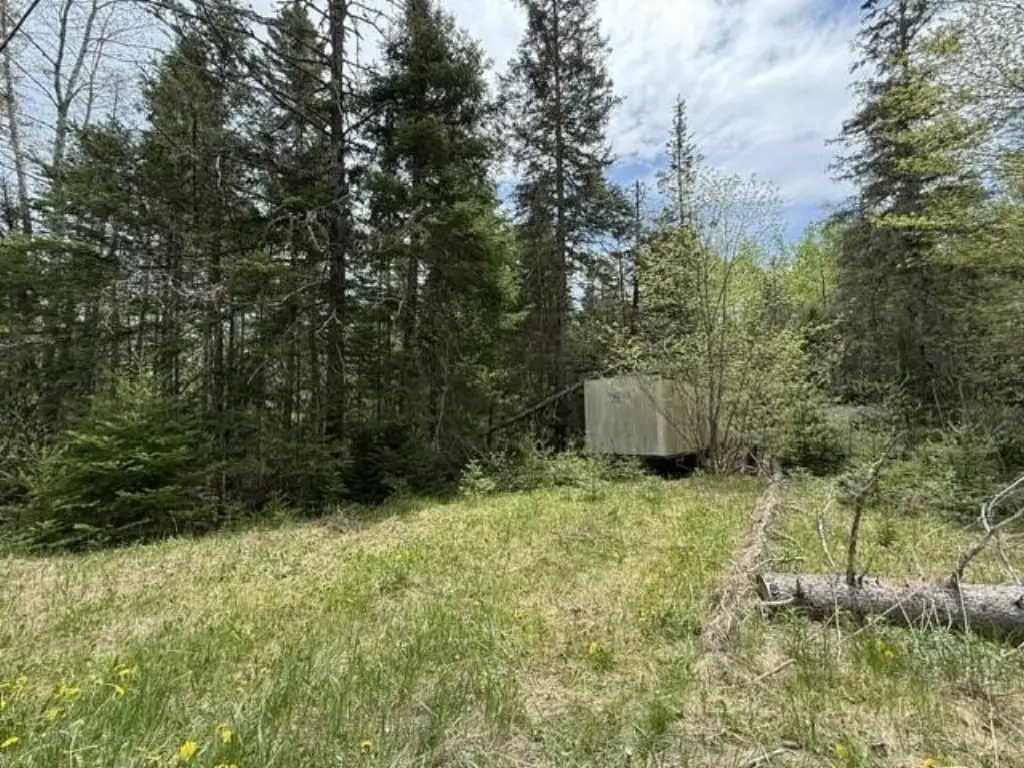Picture 2