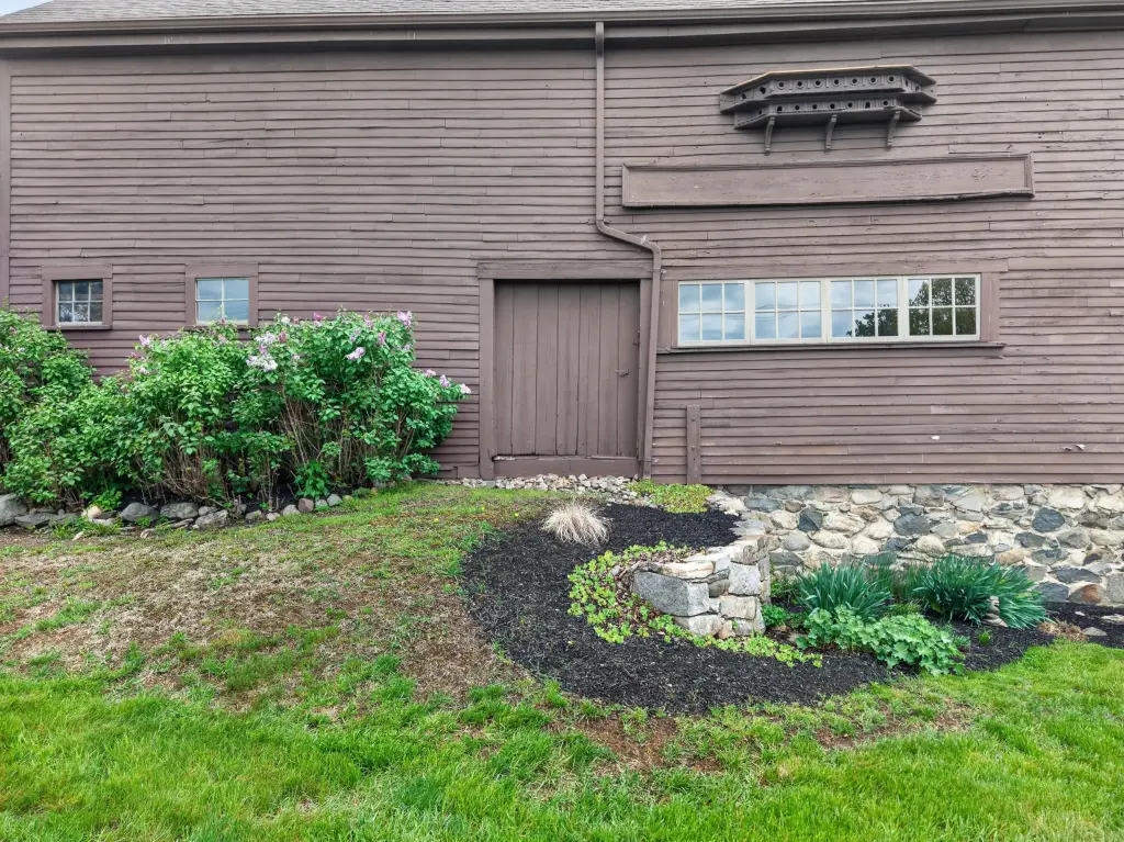 Picture 6