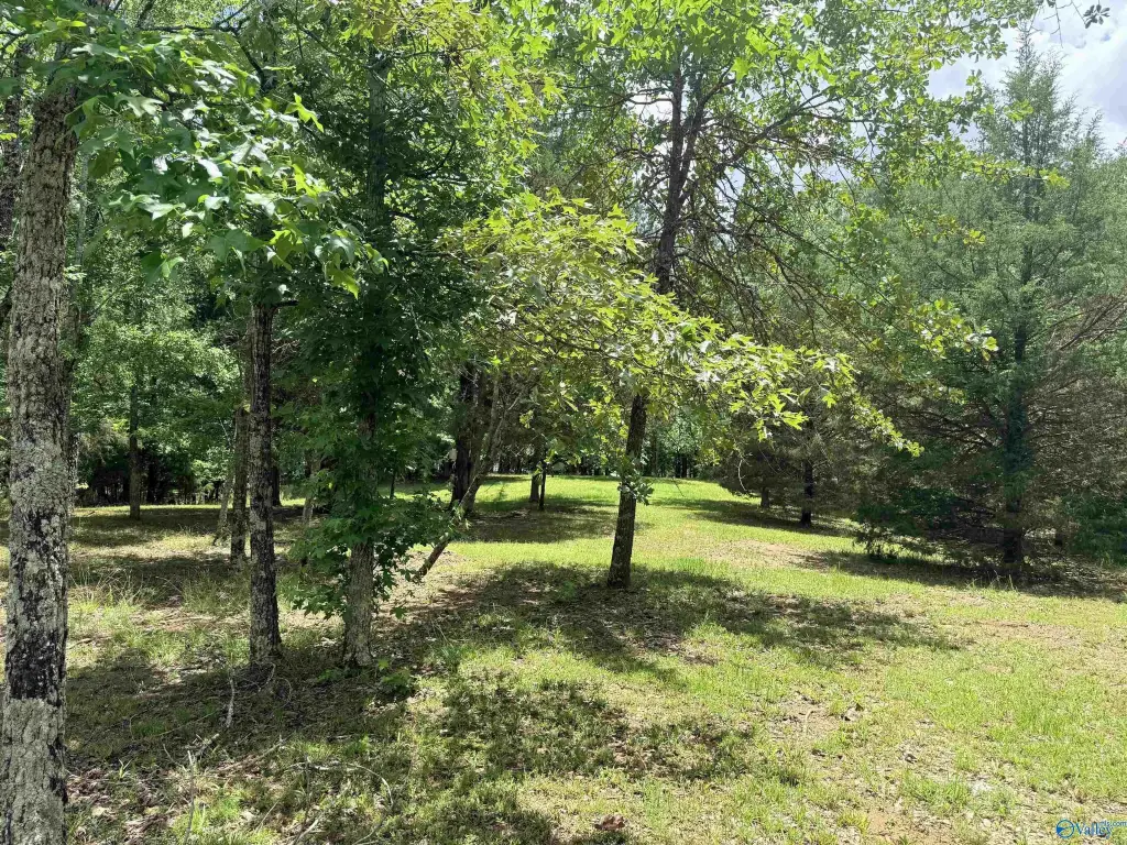 Picture 20