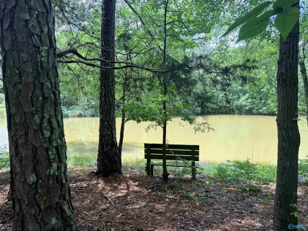 Picture 22