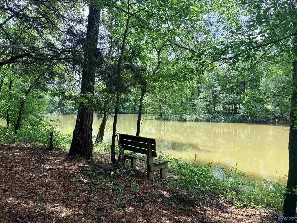 Picture 23