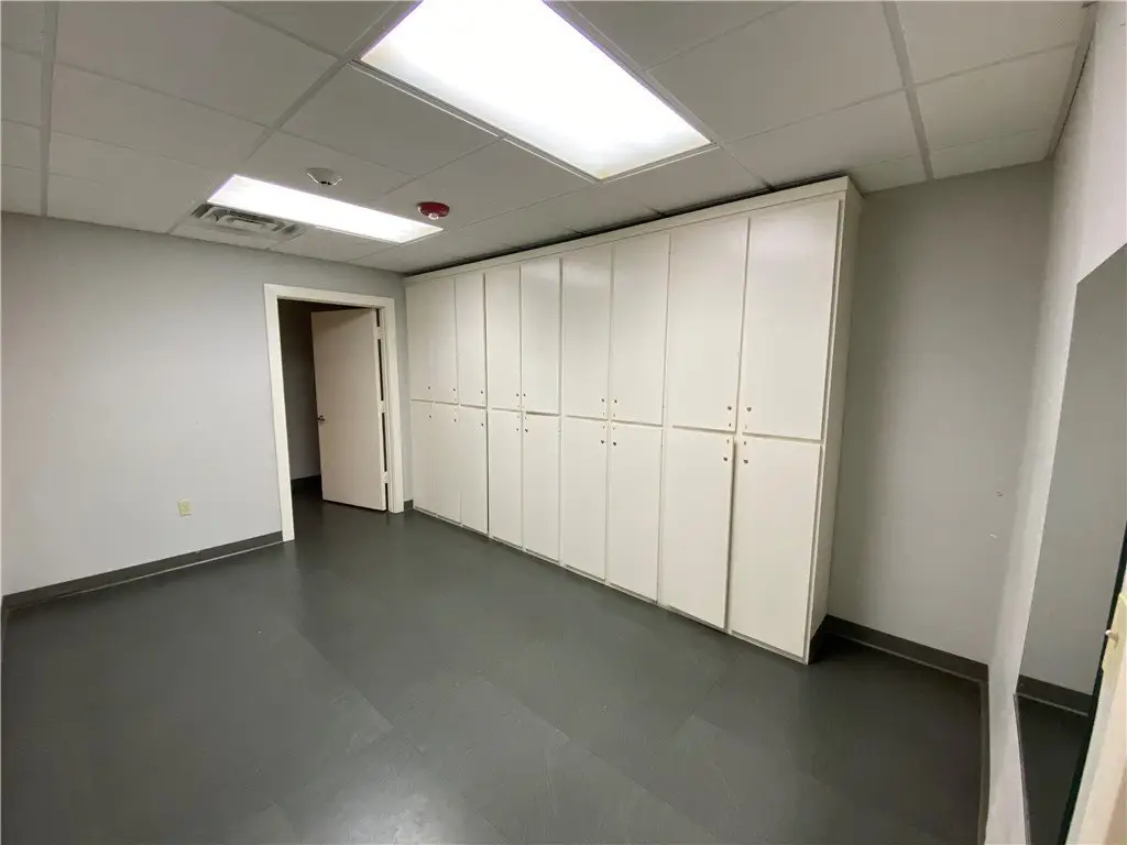 Picture 5