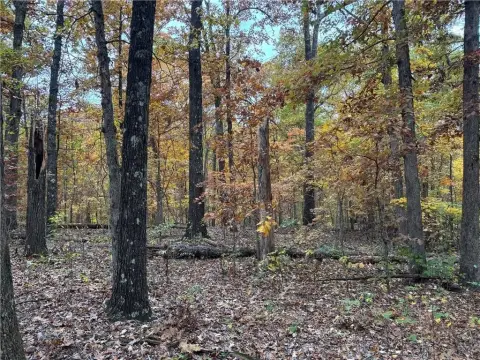 Wooded Lot in Bella Vista