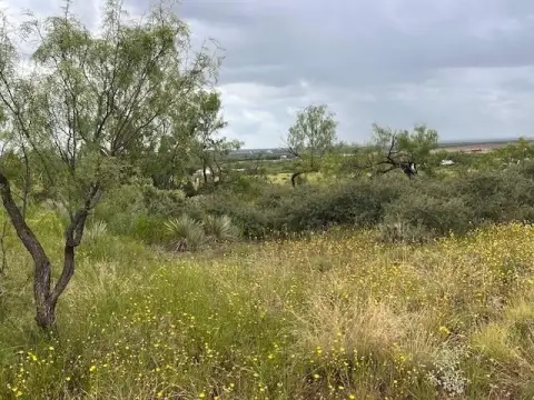 Merkel, TX Unrestricted Land