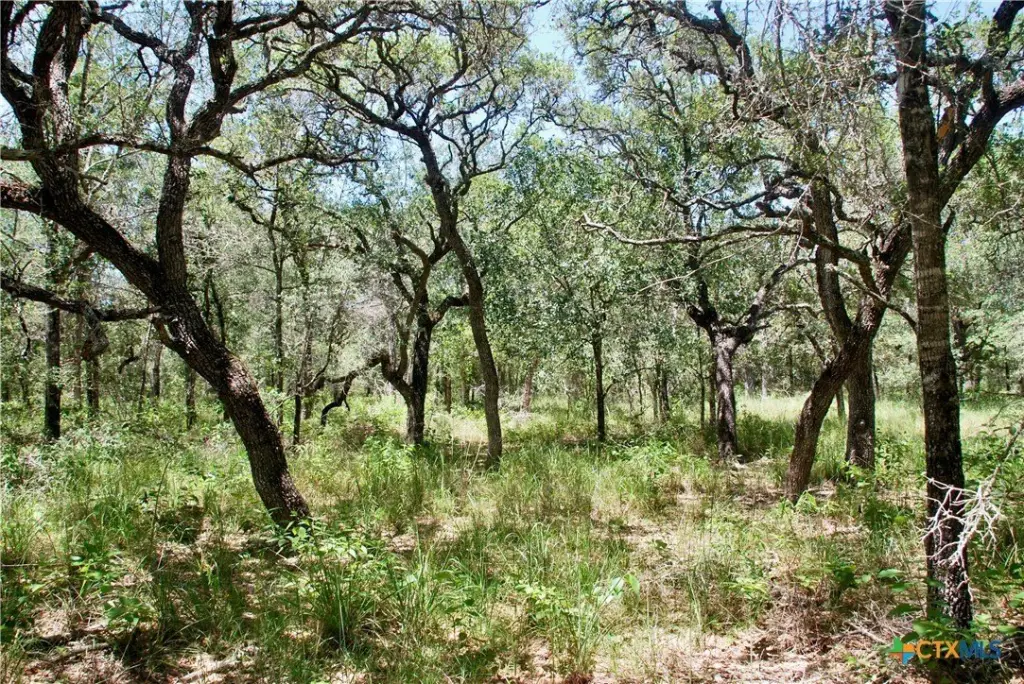 Picture 16
