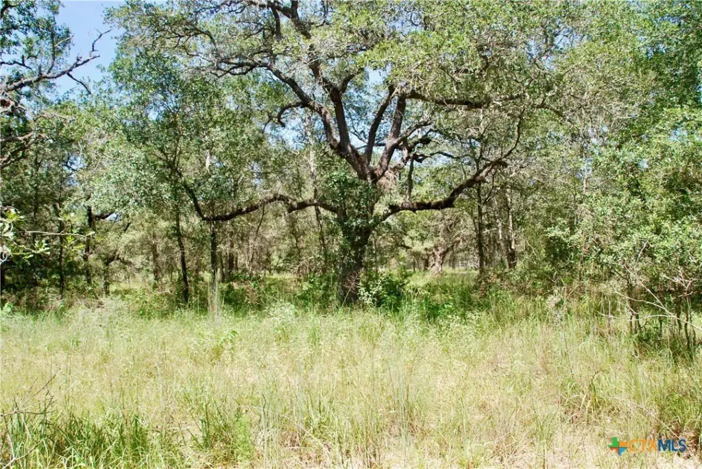 Picture 9
