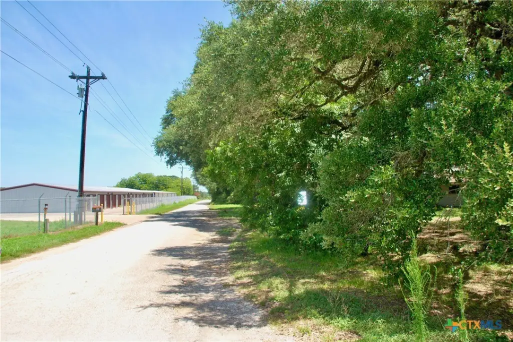 Picture 21