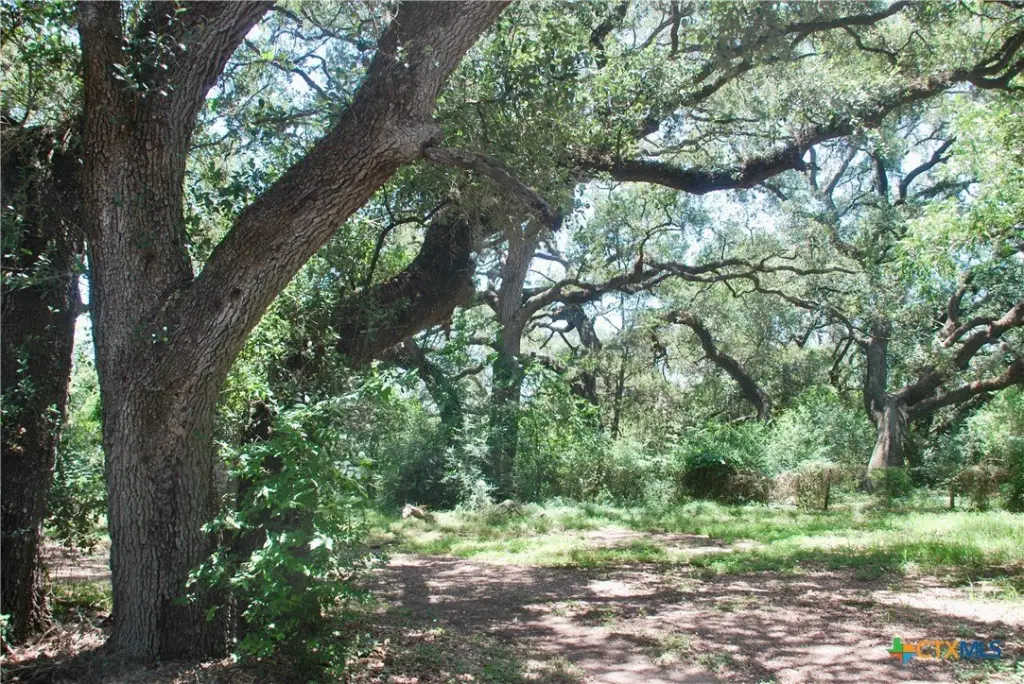 Picture 15