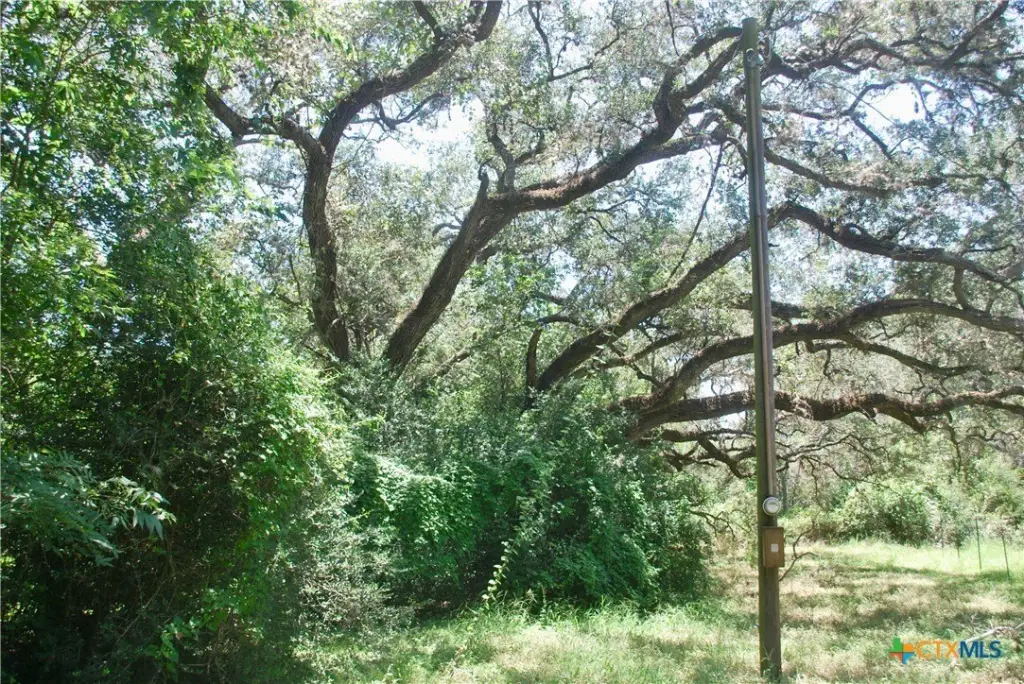 Picture 18