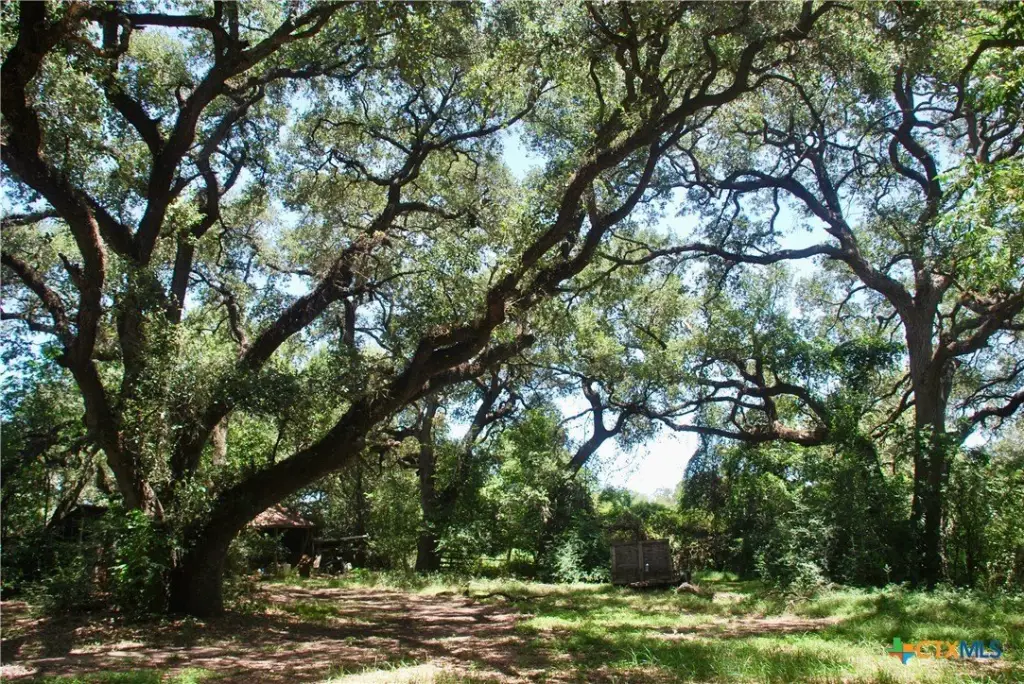 Picture 19