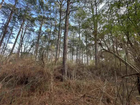 Development Land Near SAU, Magnolia