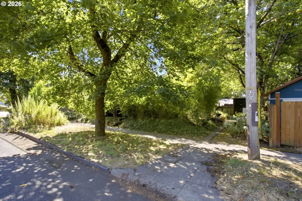 Picture 7