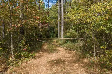 Wooded Land in River Valley