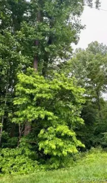 Land in Caroline Pines Community