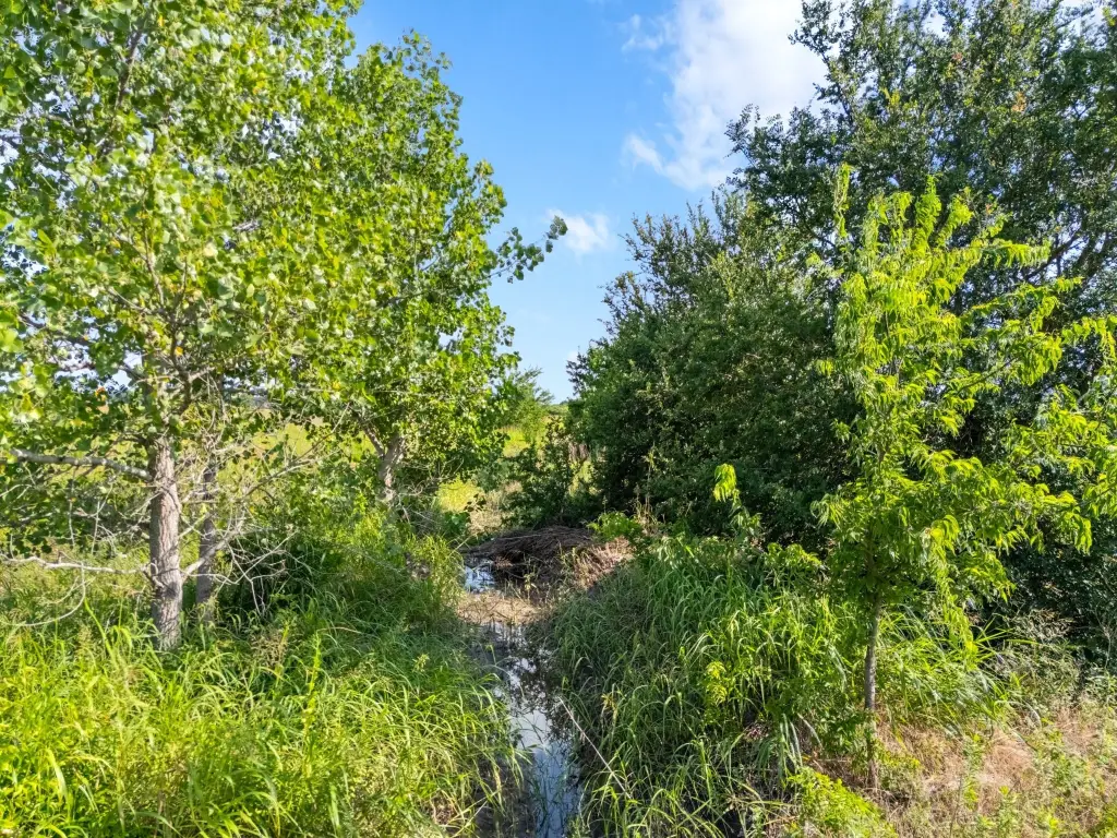 Picture 21