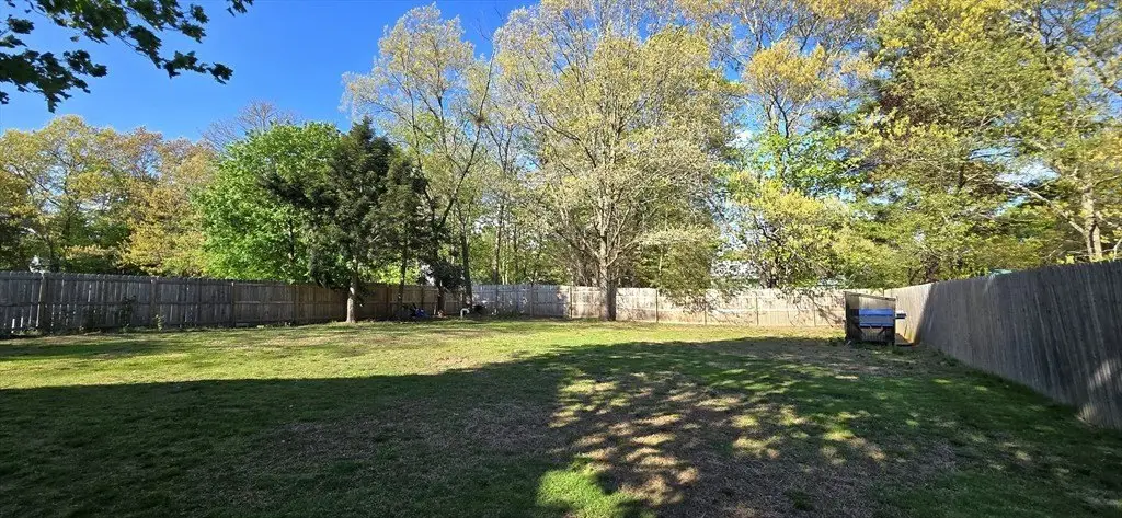 Picture 26