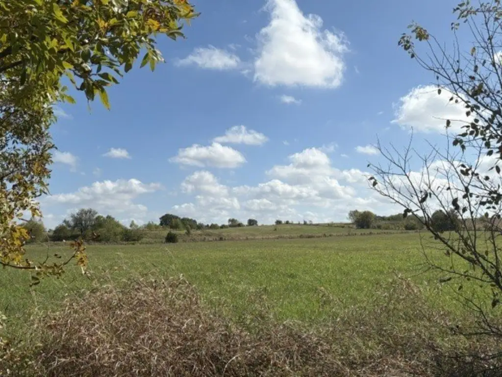 Picture 9