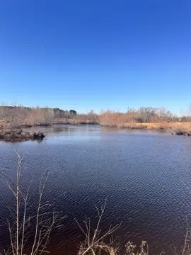 60-Acre Fenced Land with Pond