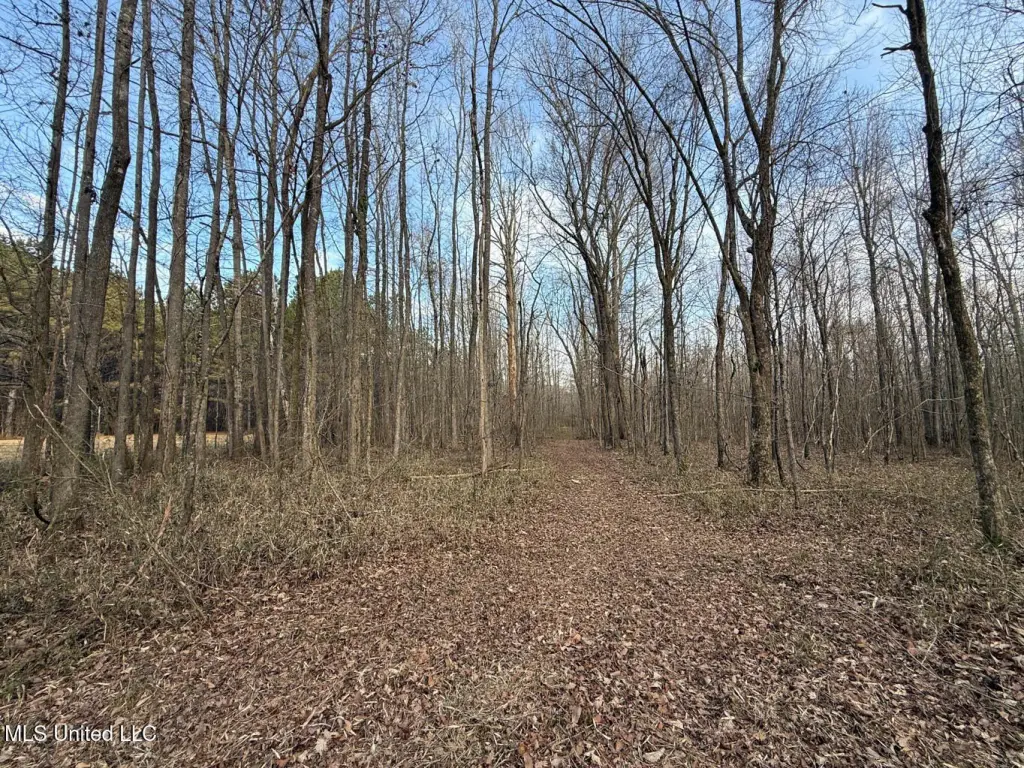 Picture 27