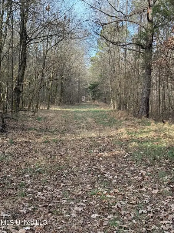 Picture 16