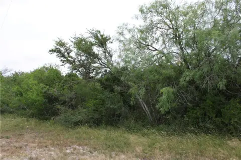 Residential Land Near Lake Corpus