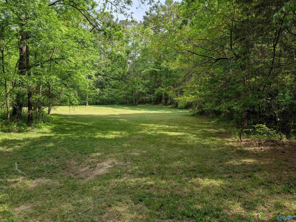Picture 28