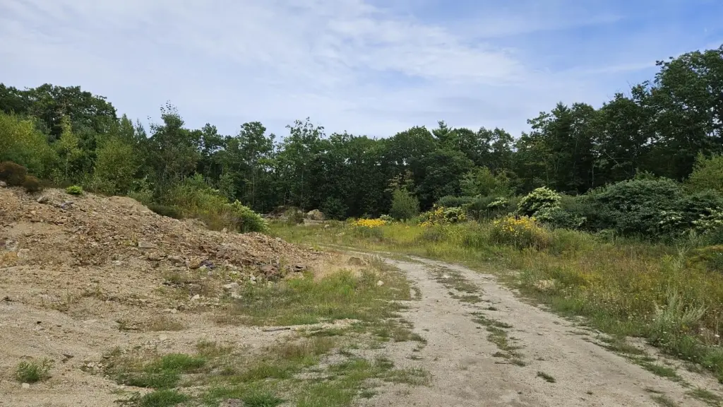 Picture 7