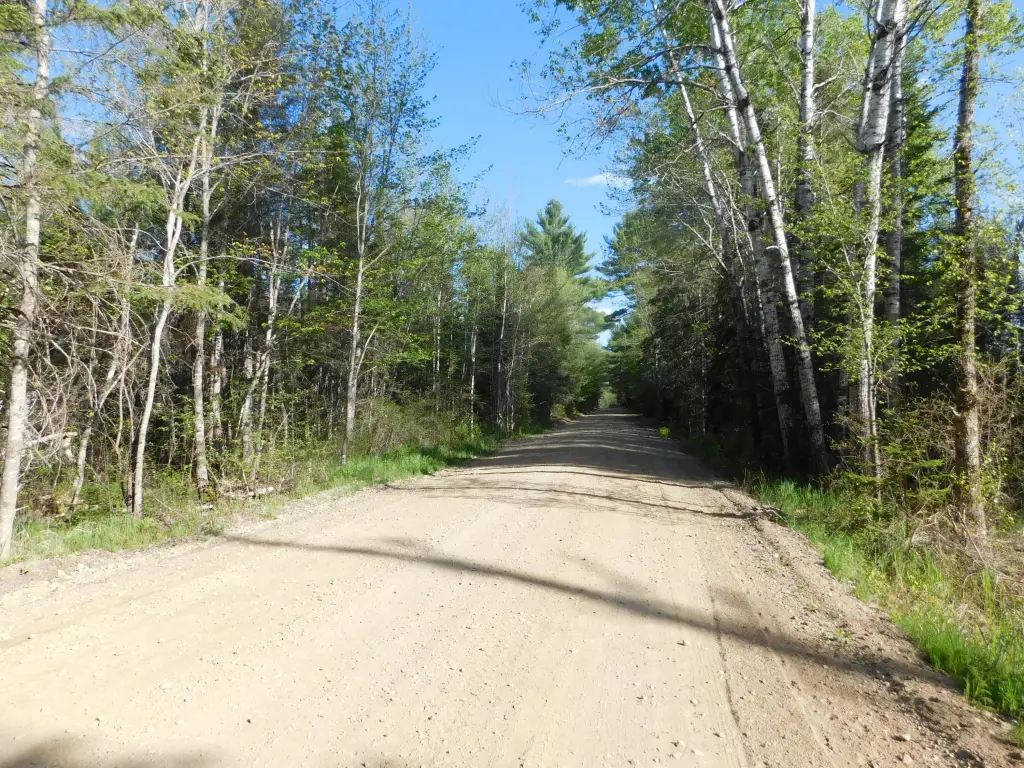 Picture 3