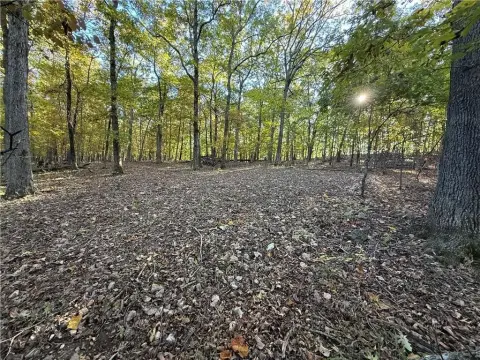 Eureka Springs Wooded Retreat