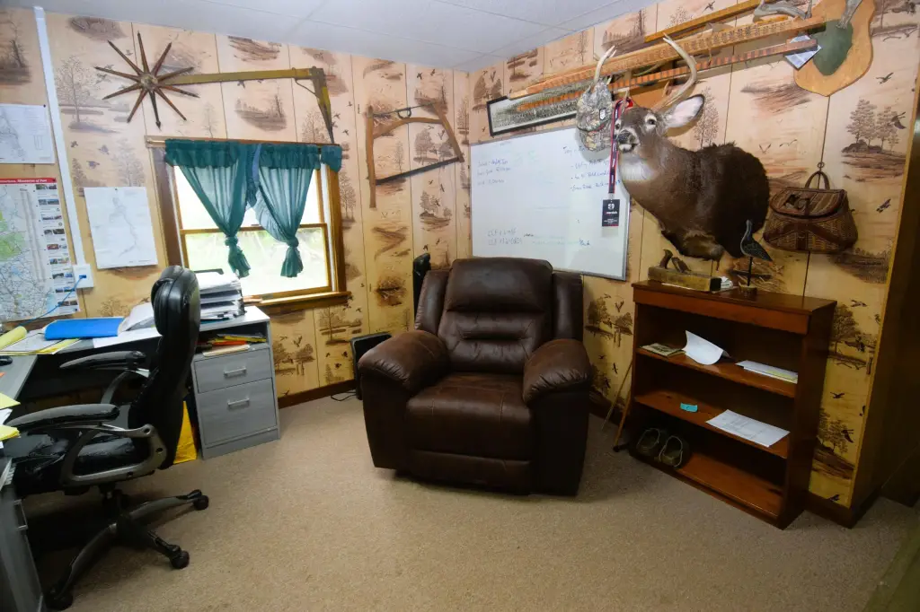 Picture 11