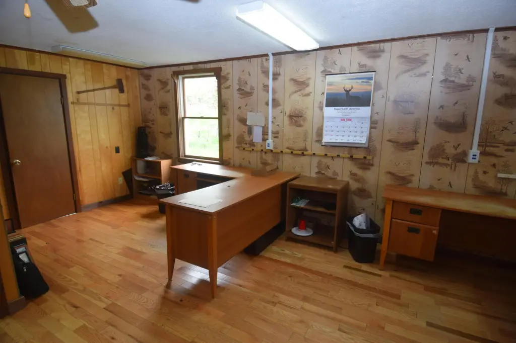 Picture 6