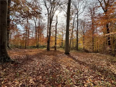 Riverside Wooded Land For Sale
