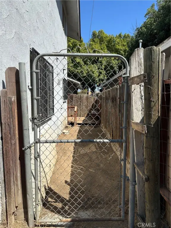 Picture 19