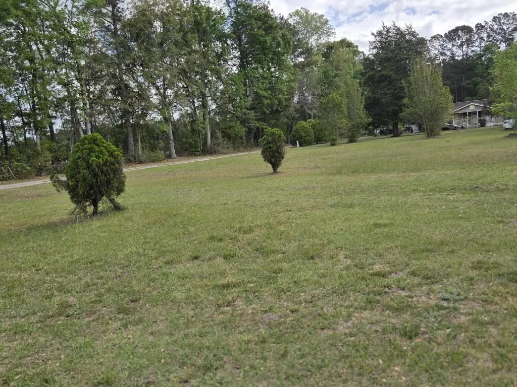 Picture 15