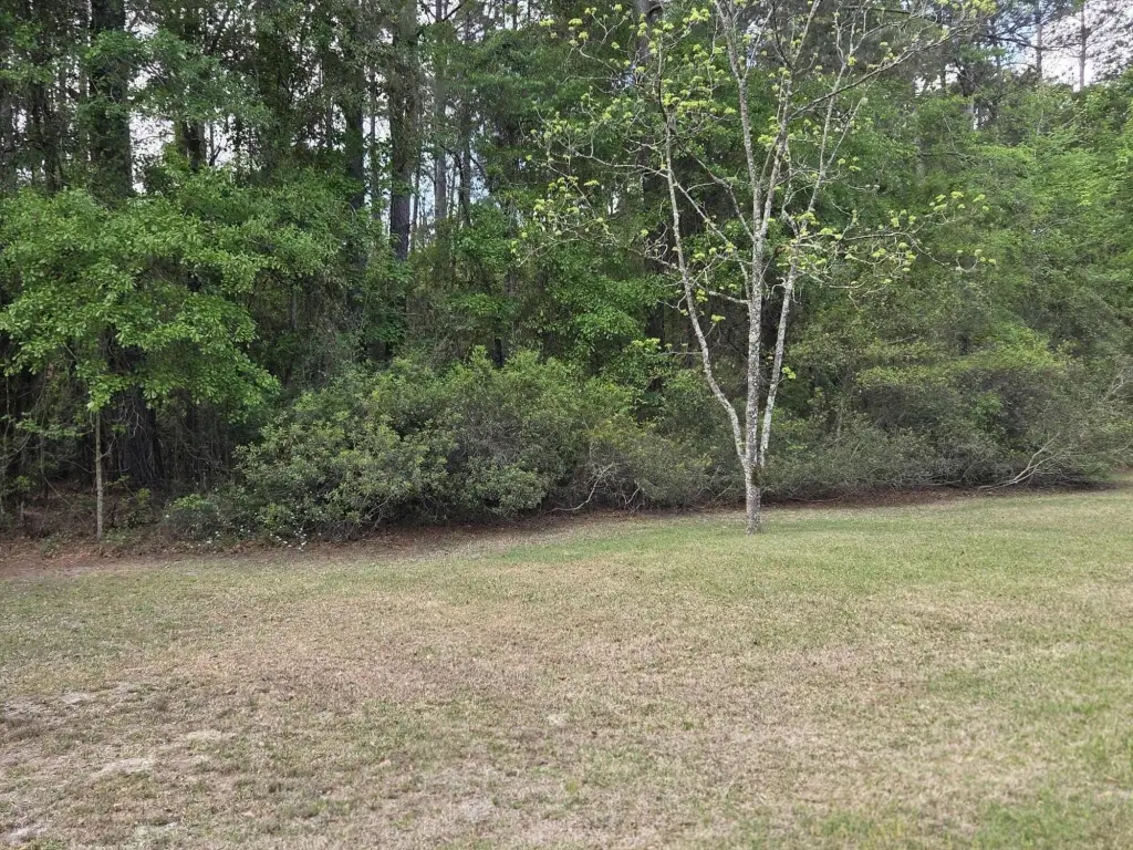 Picture 17