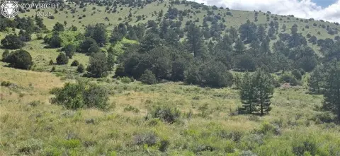 Westcliffe Treed Lot with Views