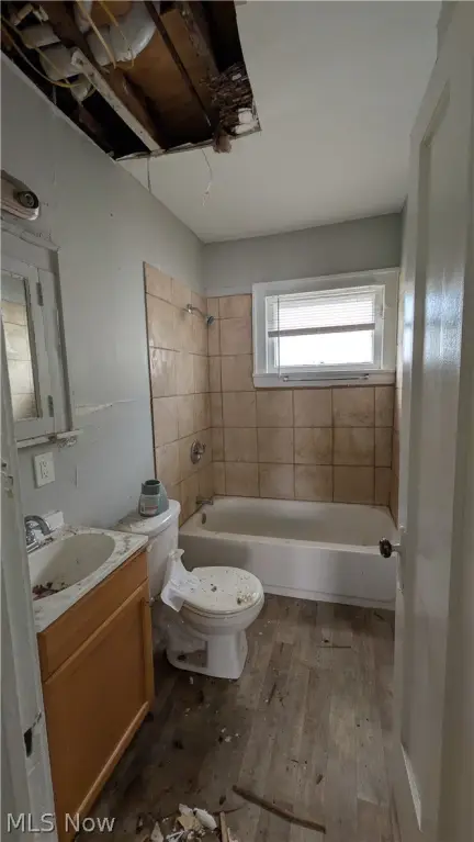Picture 16