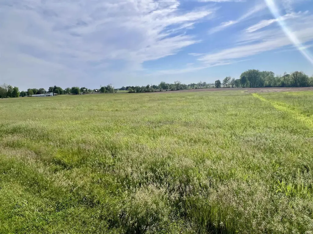 Picture 12