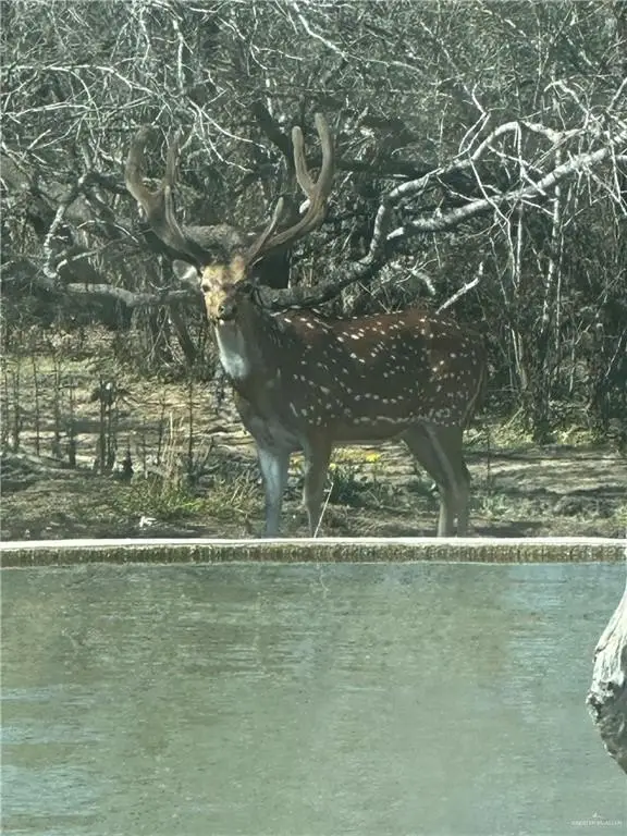 Picture 12